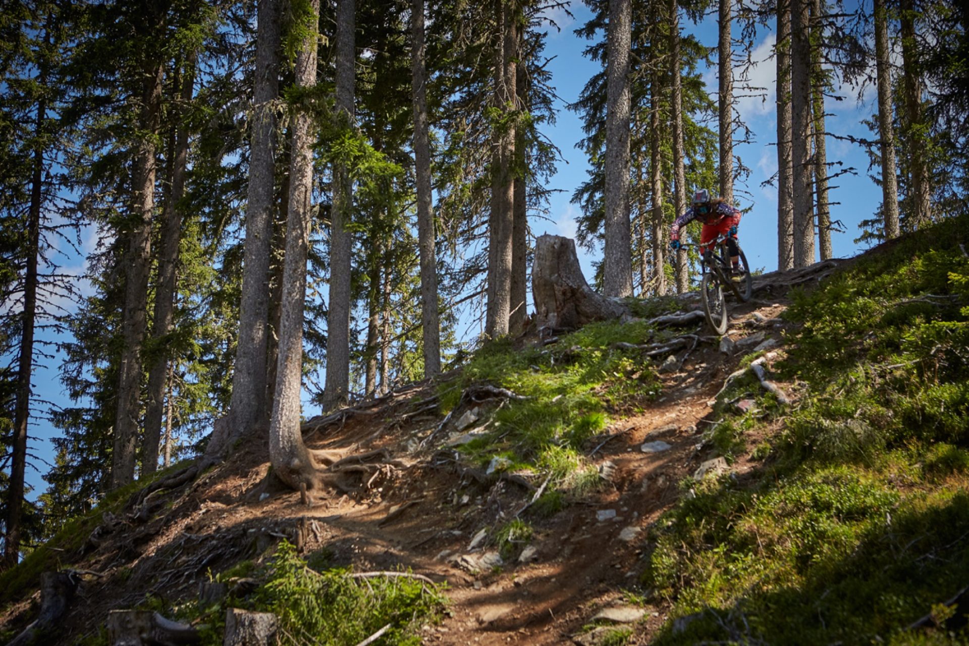 Wurzel Trail